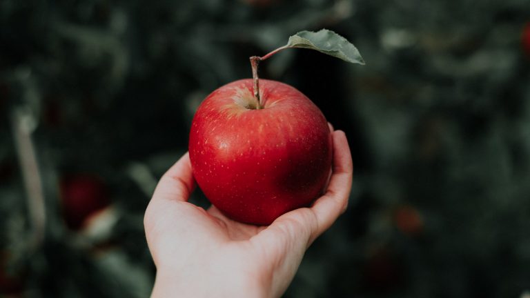 Dłoń z jabłkiem