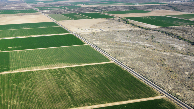 Ziemia / pola z lotu ptaka