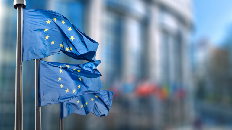 Flagi Unii Europejskiej