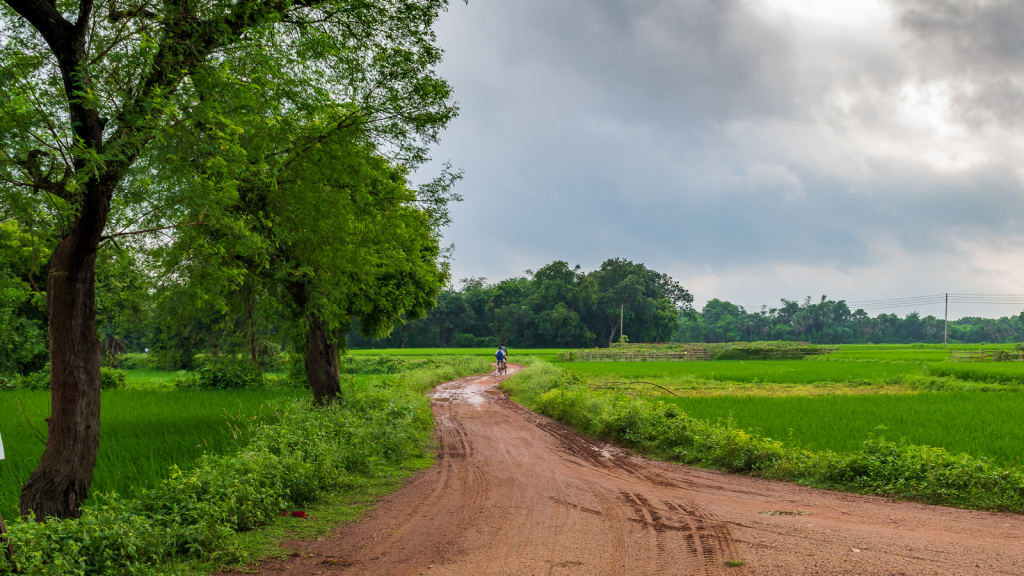 Wieś, polna droga, w oddali ludzie na rowerach