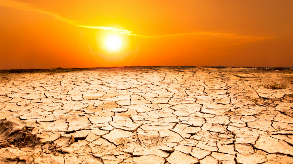 Sucha, popękana ziemia i prażące słońce