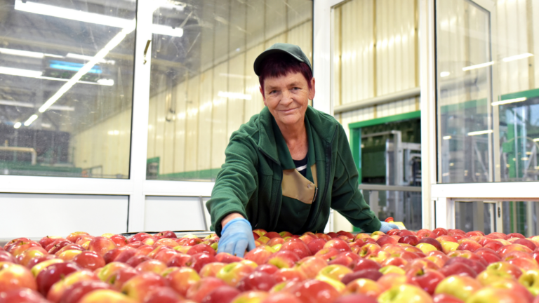 Kobieta w zakładzie przetwarzającym jabłka