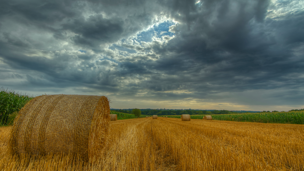 Pole z belą siana, zachmurzone niebo