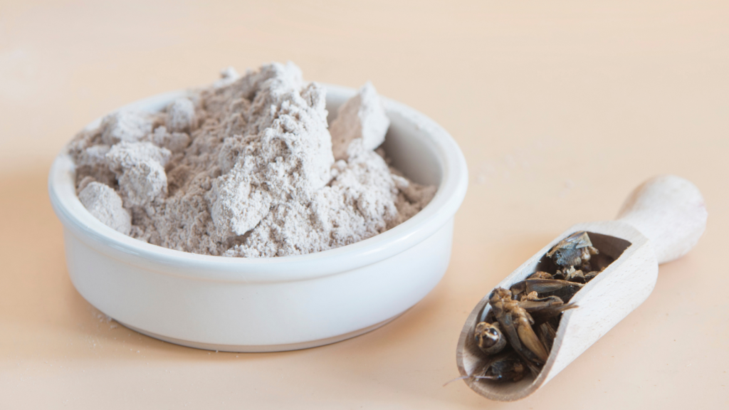 Pojemnik z mąką, obok łopatka z owadami