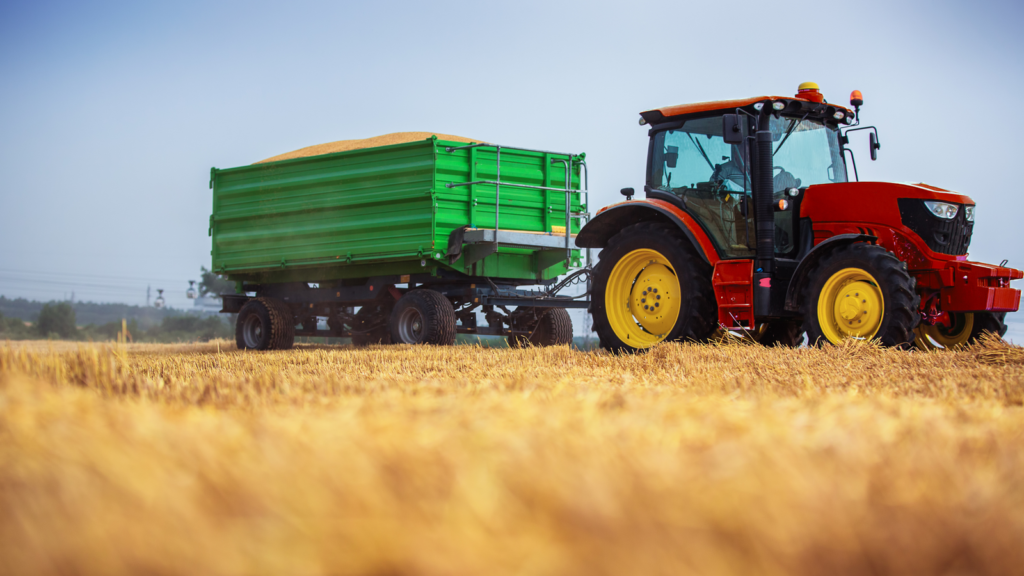 Traktor z przyczepą ze zbożem na polu