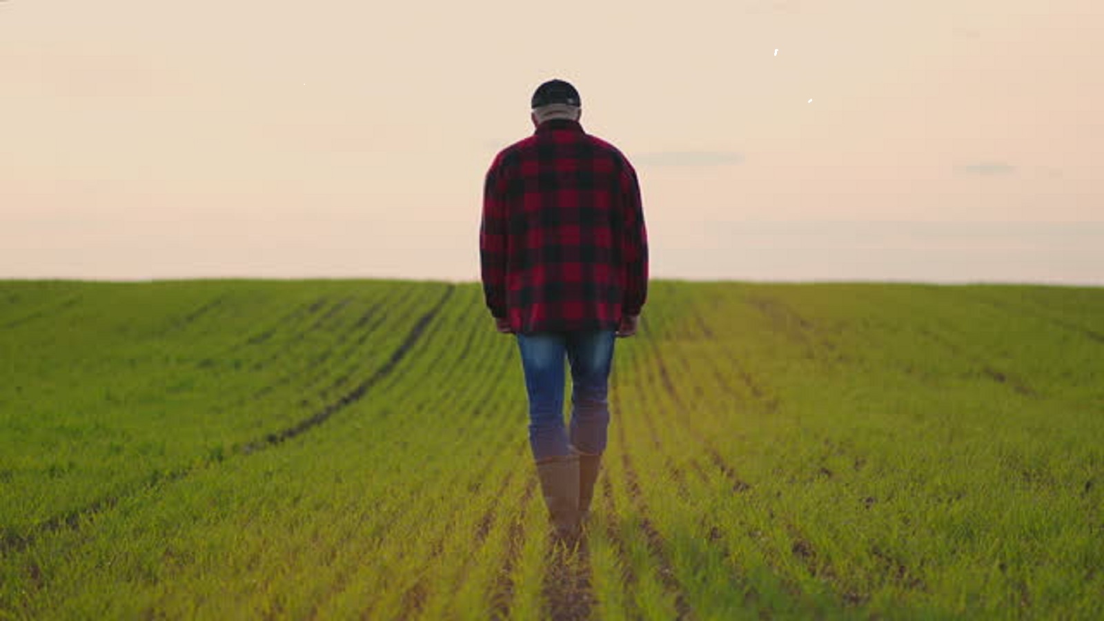 Wsie mogą znikać z mapy kraju