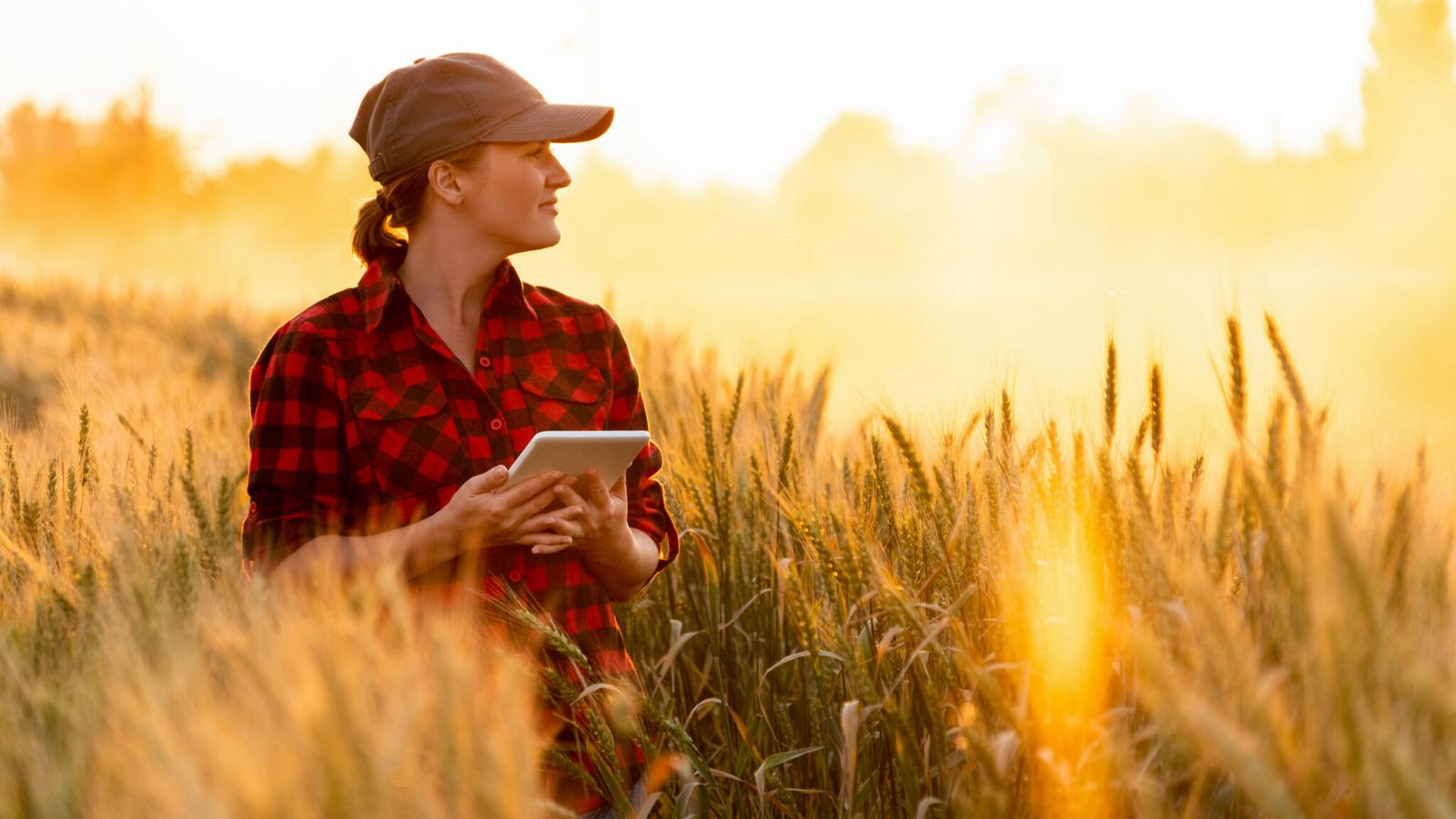 EnviAgri – bezpłatny agronom w komórce